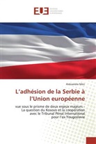 Aleksandra Nikic, Nikic-A - L'adhésion de la Serbie à l'Union européenne