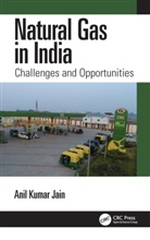 Anil Kumar Jain, Anil Kumar (Secretary Jain, Jain Anil Kumar - Natural Gas in India