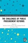 Annalisa Castelli, Annalisa Piga Castelli, Gustavo Piga, Stéphane Saussier, Tünde Tátrai, Annalisa Castelli... - Challenges of Public Procurement Reforms