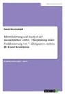 Daniel Waschestjuk - Identifizierung und Analyse der menschlichen cDNA. Überprüfung einer Umklonierung von 5 Klonpaaren mittels PCR und Restriktion