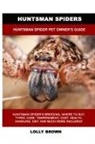 Lolly Brown - Huntsman Spiders