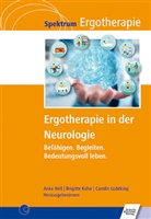 Anke Heß, Brigitte Kohn, Carolin Lüdeking - Ergotherapie in der Neurologie