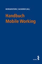 Judith Morgenstern, Remo Sacherer - Handbuch Mobile Working