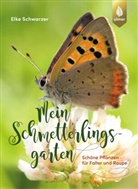 Elke Schwarzer - Mein Schmetterlingsgarten