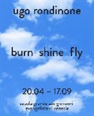 Paola Gribaudo, Javier Molins, Javier Molins - Ugo Rondinone burn shine fly