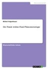 Michel Felgenhauer - Die Fluids within Fluid Phänomenologie