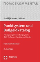 Julia Hiltrop, Felix Koehl, Carsten Krumm - Punktsystem und Bußgeldkatalog