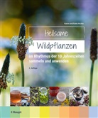 Frank Hecker, Katrin Hecker - Heilsame Wildpflanzen