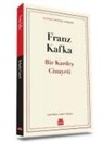 Franz Kafka - Bir Kardes Cinayeti