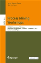 Lu, Xixi Lu, Jorge Munoz-Gama - Process Mining Workshops