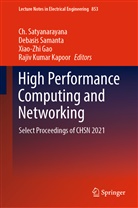Xiao-Zhi Gao, Xiao-Zhi Gao et al, Rajiv Kumar Kapoor, Debasis Samanta, Ch. Satyanarayana - High Performance Computing and Networking