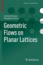 Andrea Braides, Margherita Solci - Geometric Flows on Planar Lattices