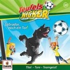 Frauke Nahrgang - Teufelskicker - Labrador, noch ein Tor!, 1 Audio-CD (Audiolibro)