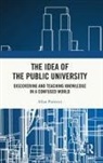 Allan Patience, Patience Allan - Idea of the Public University