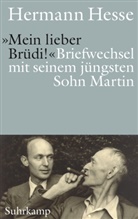 Hermann Hesse, Martin Siegenthaler, Martin Hesse, Gunnar Decker, Hans Siegenthaler u a, Sibylle Siegenthaler-Hesse - »Mein lieber Brüdi!«