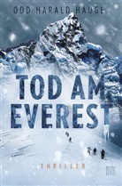 Odd Harald Hauge - Tod am Everest