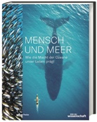 Andrea Stegemann - Mensch und Meer