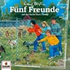 Enid Blyton - Fünf Freunde auf der Suche nach Timmy, 1 Audio-CD (Hörbuch)