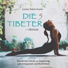 Die 5 Tibeter, Audio-CD (+ 1 Bonus) (Hörbuch)