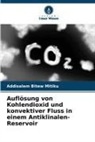 Addisalem Bitew Mitiku - Auflösung von Kohlendioxid und konvektiver Fluss in einem Antiklinalen-Reservoir