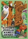 Nigel Clayton - A Pygmy Possum Named Henry