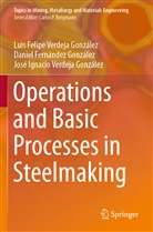 Fernández González, Daniel Fernández González, José Ignacio Verdeja González, Luis Felipe Verdeja González - Operations and Basic Processes in Steelmaking