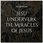 Jim Grewdahl - Jesu underverk The Miracles of Jesus