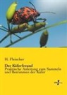 H. Fleischer - Der Käferfreund