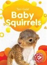 Elizabeth Neuenfeldt - Baby Squirrels