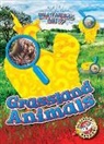 Rebecca Sabelko - Grassland Animals