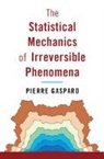 Pierre Gaspard, Pierre (Universite Libre De Bruxelles) Gaspard, Gaspard Pierre - Statistical Mechanics of Irreversible Phenomena
