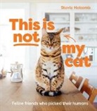 Stevie Holcomb - This is not my cat