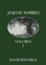 David Mayorga - ¡Bajo Su Sombra! Volumen 1