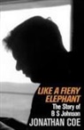 Jonathan Coe - Like a Fiery Elephant