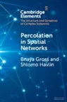 Bnaya Gross, Bnaya (Bar-Ilan University Gross, Shlomo Havlin, Shlomo (Bar-Ilan University Havlin, Havlin Shlomo - Percolation in Spatial Networks