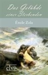 Emile Zola, Émile Zola - Das Gelübde einer Sterbenden