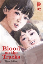 Shuzo Oshimi - Blood on the Tracks 2