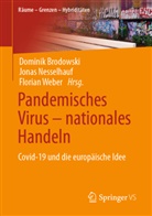 Dominik Brodowski, Jonas Nesselhauf, Florian Weber - Pandemisches Virus - nationales Handeln