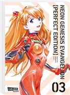 Yoshiyuki Sadamoto - Neon Genesis Evangelion - Perfect Edition 3