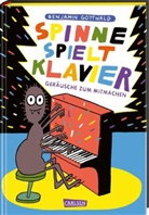 Benjamin Gottwald, Benjamin Gottwald - Spinne spielt Klavier