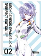 Yoshiyuki Sadamoto - Neon Genesis Evangelion - Perfect Edition 2