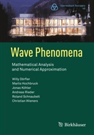 Willy Dörfler, Marlis Hochbruck, Jonas Köhler, Jonas et Köhler, Andreas Rieder, Roland Schnaubelt... - Wave Phenomena