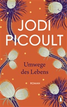 Jodi Picoult - Umwege des Lebens