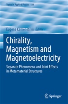 Eugene Kamenetskii - Chirality, Magnetism and Magnetoelectricity