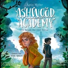 Karin Müller, Jodie Ahlborn - Ashwood Academy - Die Schule der fünf Türme, 3 Audio-CD (Audio book)