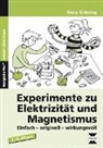 Ilona Gröning - Experimente zu Elektrizität und Magnetismus