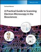 Gerhard Wanner - A Practical Guide to Scanning Electron Microscopy in the Biosciences