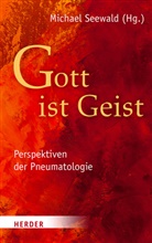 Michael Seewald, Michael Seewald (Prof. Dr.) - "Gott ist Geist"