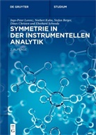 Stefan Berger, Stefan u Berger, Dines Christen, Norbert Kuhn, Ingo-Peter Lorenz, Eberhard Schweda - Symmetrie in der Instrumentellen Analytik