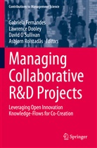 Lawrence Dooley, Gabriela Fernandes, David O'Sullivan, David O'Sullivan et al, Asbjørn Rolstadås - Managing Collaborative R&D Projects